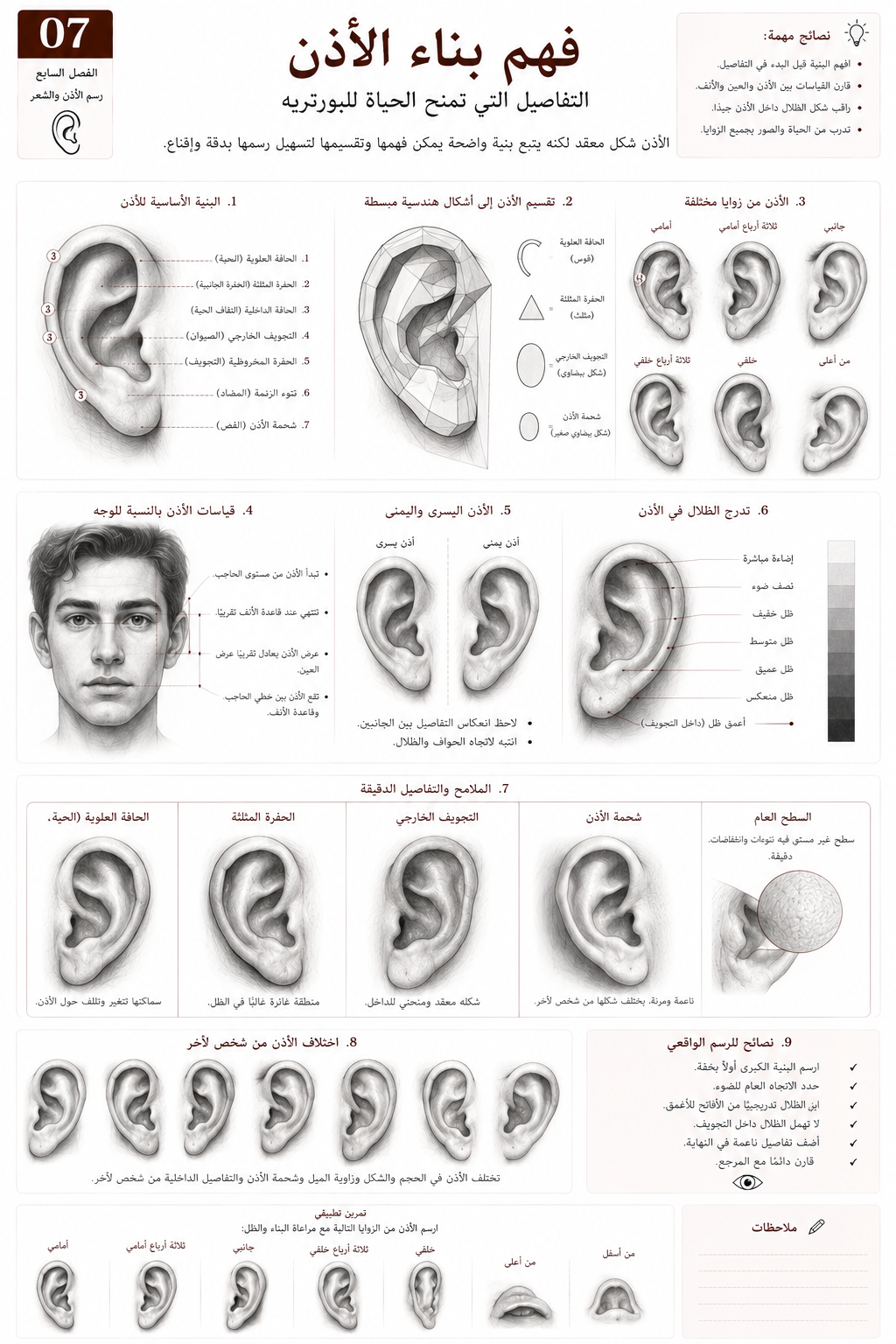 فن رؤية البورتريه | pdf