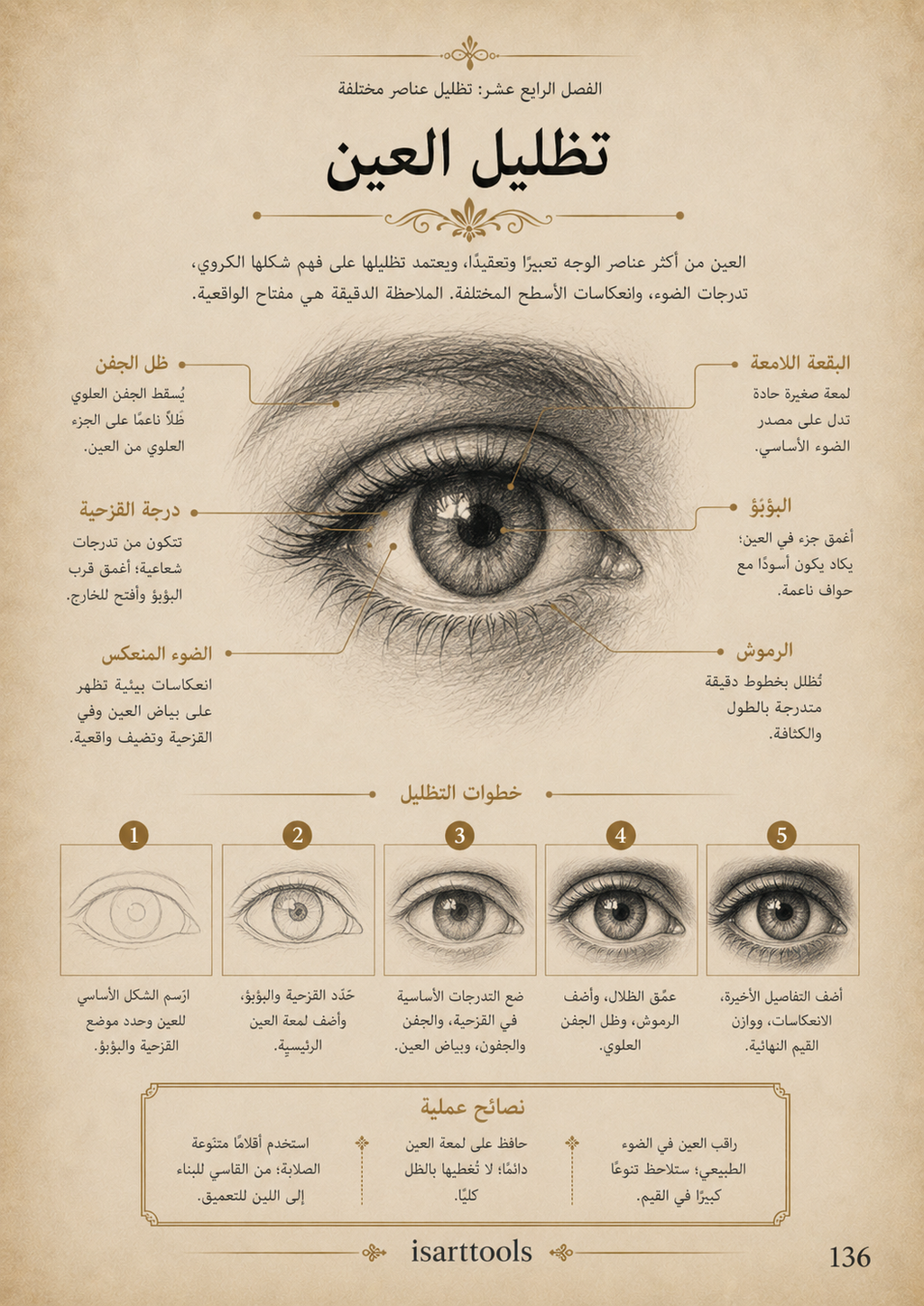 أسرار التظليل – الدليل الشامل لاحتراف الضوء والظل بجميع الخامات