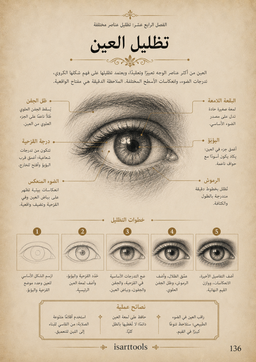 أسرار التظليل – الدليل الشامل لاحتراف الضوء والظل بجميع الخامات |pdf